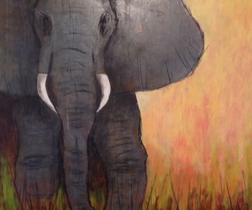Elefantsafari